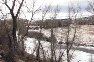 Picture courtesy of Kerry Pimblott